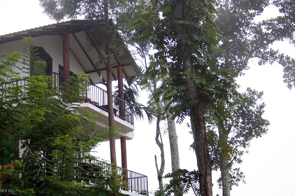 Hill Forest Cottage Элла Экстерьер фото