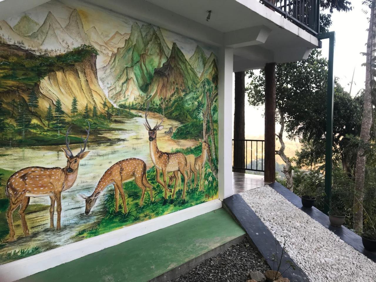 Hill Forest Cottage Элла Экстерьер фото